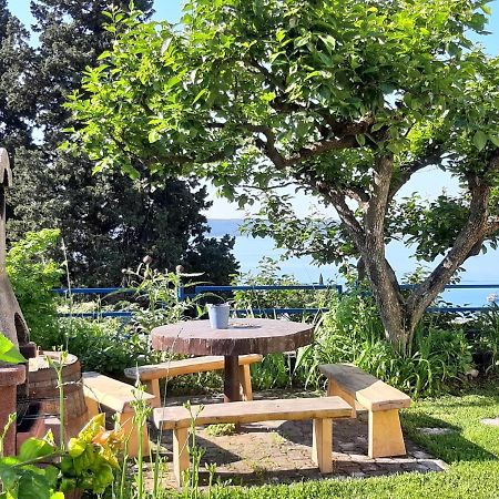 Apartments And Rooms Knez Portoroz Luaran gambar